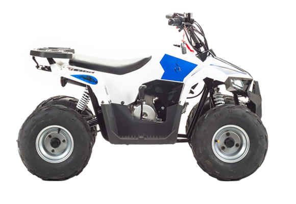 Квадроцикл TAO MOTOR MUDHAWK 110 pitbikemarket.ru