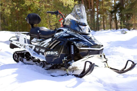 Снегоход IRBIS SF200SL Super Long pitbikemarket.ru