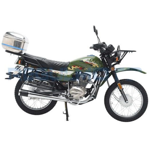 Мотоцикл Regulmoto SK200-22 ПТС (Зеленый) pitbikemarket.ru